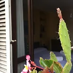 Sisters\' House