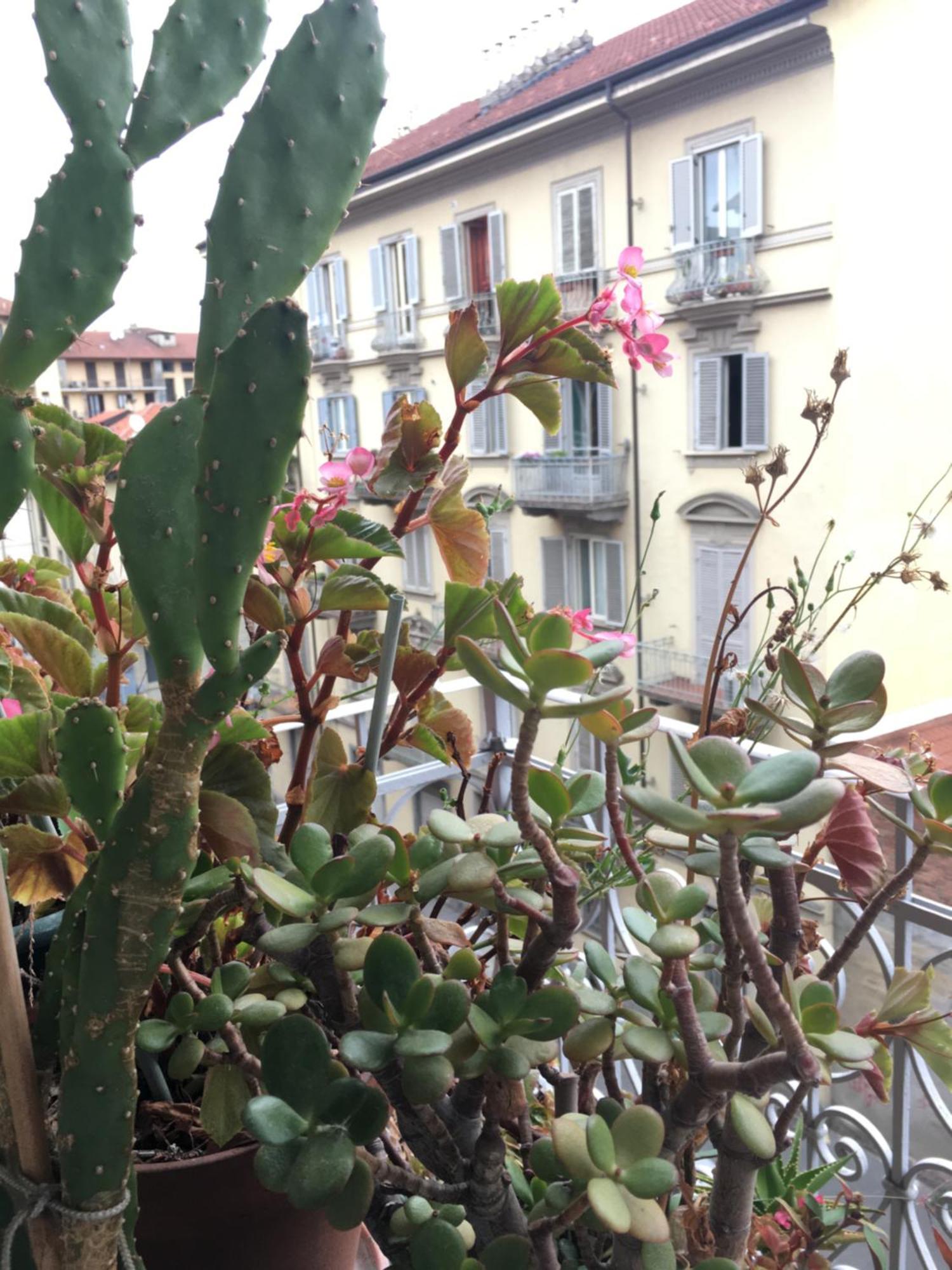 Sisters' House Appartamento